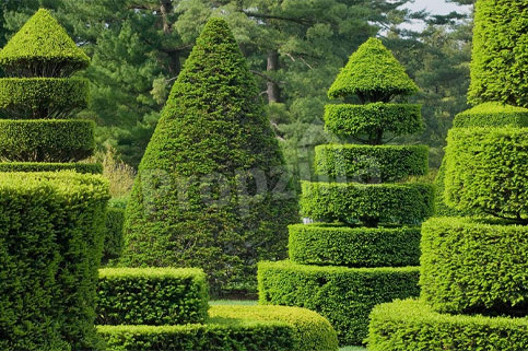 Vianaar Dappled Light Estate new launch