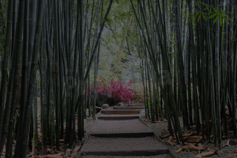 dappled light estate hill view floor plan