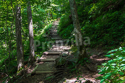 Provident Sunworth City Launch Date