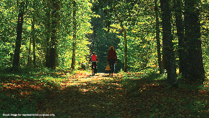 Provident Park Square Launch Date