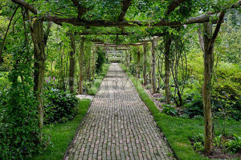 Vianaar Dappled Light Estate Latest News