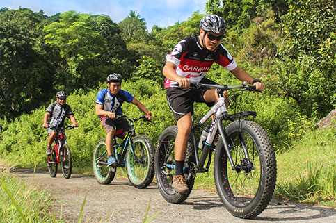 Dar Global D Villas Availability