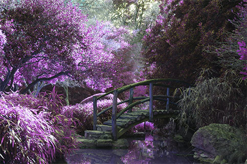 Zen Walk