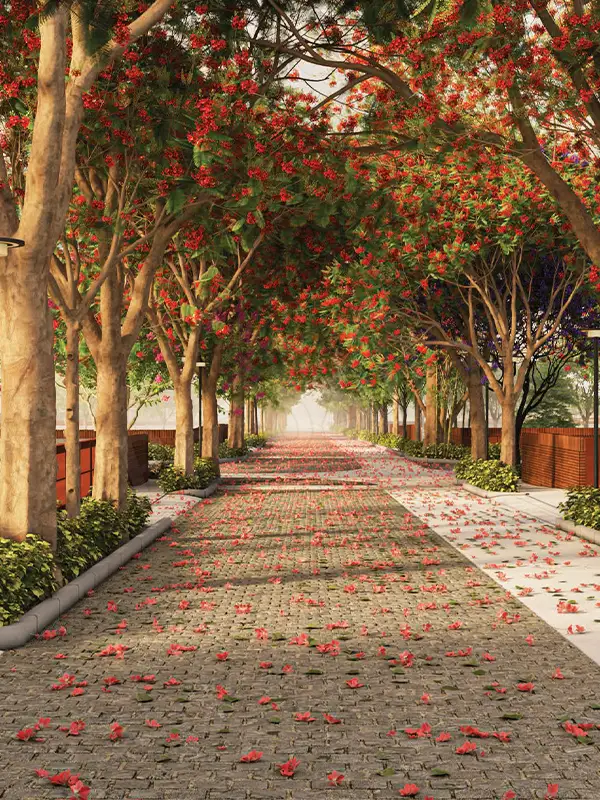 Tangled Up In Green  on Doddaballapur Road, Bangalore