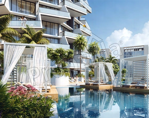 Binghatti Grove Assets