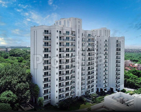 DLF Kings Court Delhi