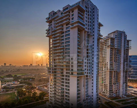 Pioneer Araya Upcoming Projects