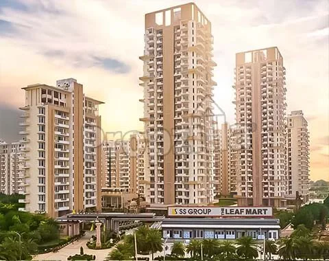 ss the leaf  gurugram