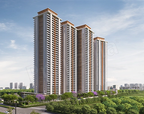 Tulip Crimson Apartment