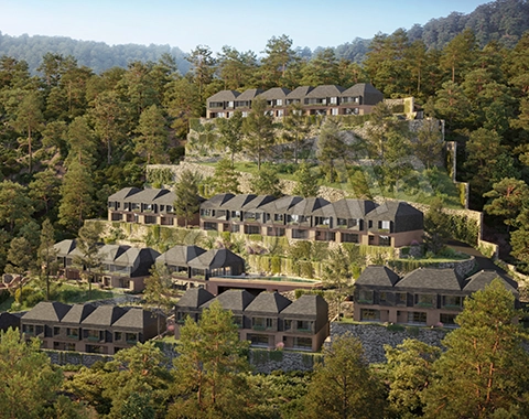 dappled light estate house