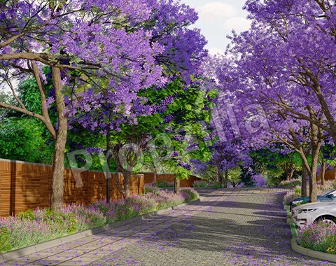 Violet Hill by Total Environment Plots