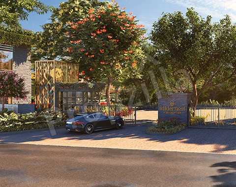 wildernest by sp kingstown photos