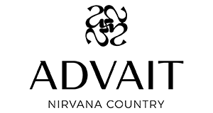 Pioneer Advait logo