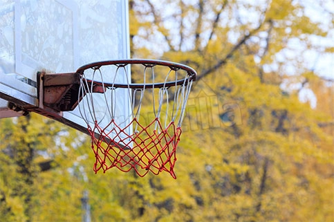 Sobha Windsor Basketball