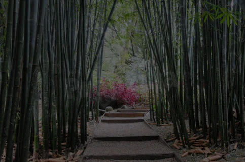 Sobha Dream Garden Bamboo Walk