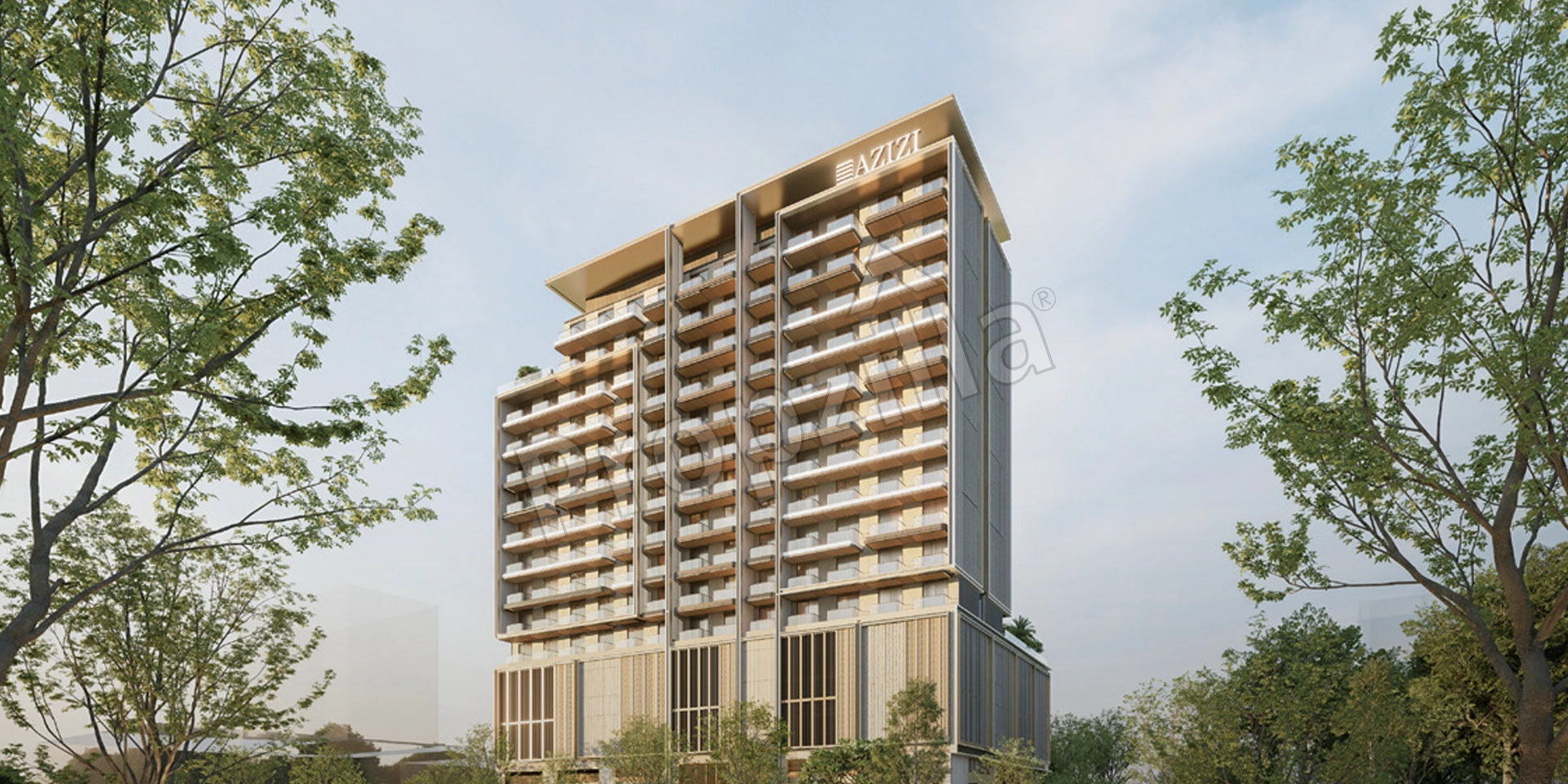 Azizi Gabriel Assets