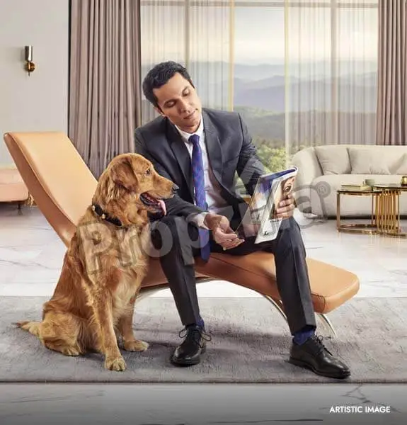 birla navya 4 bhk price