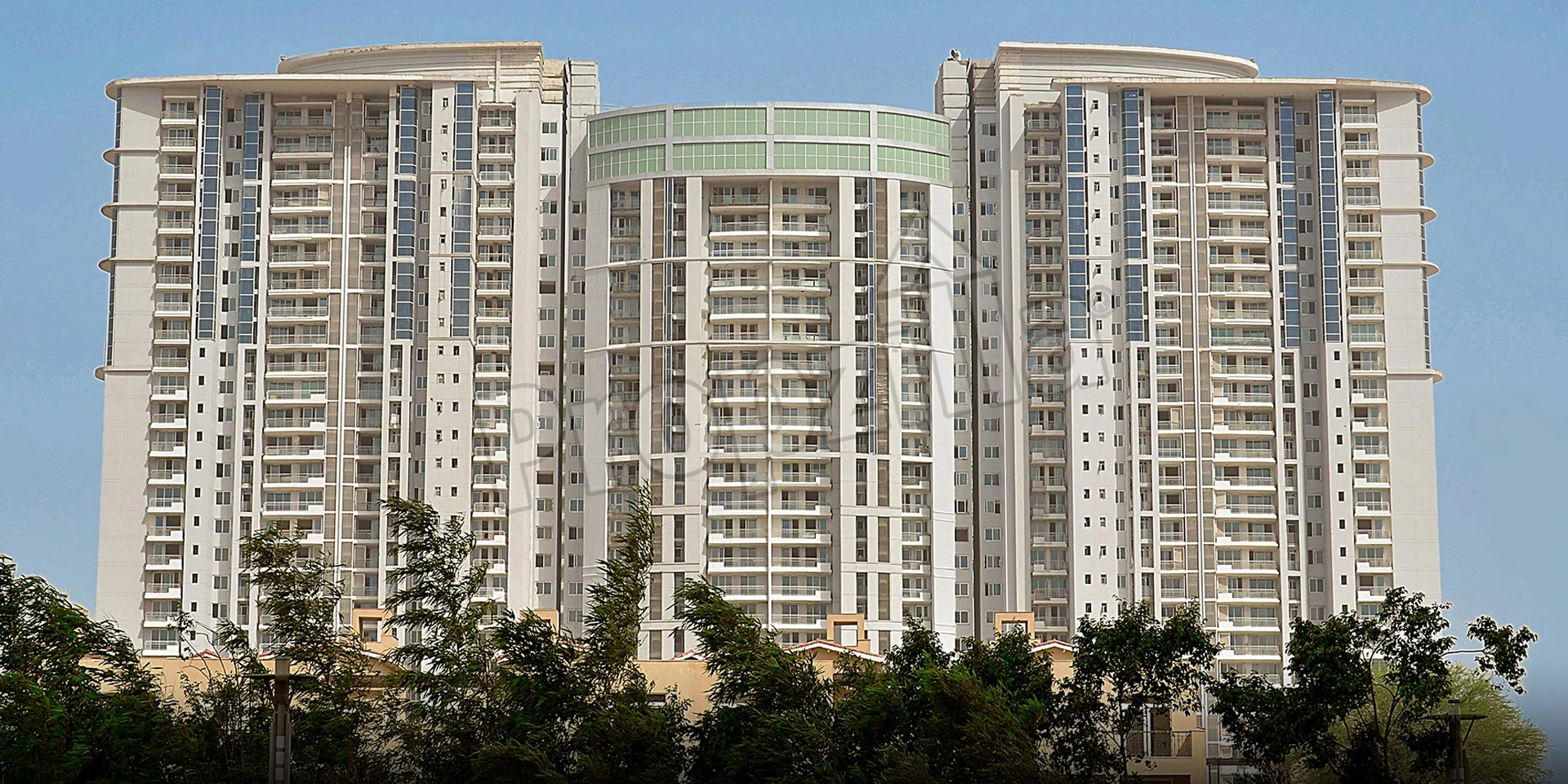 dlf the belaire 3 bhk flat for sale