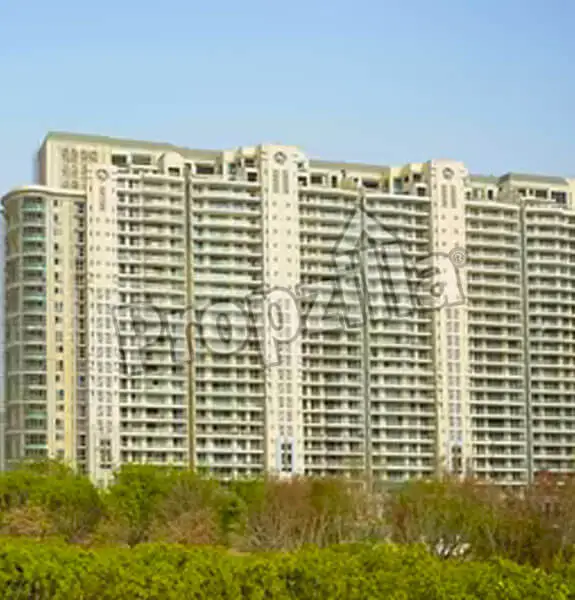 dlf magnolias apartments gurgaon