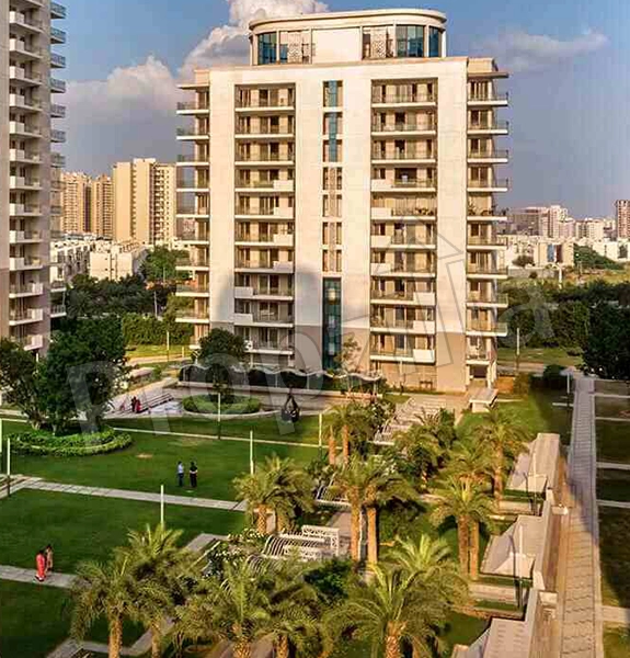 dlf ultima apartments gurgaon