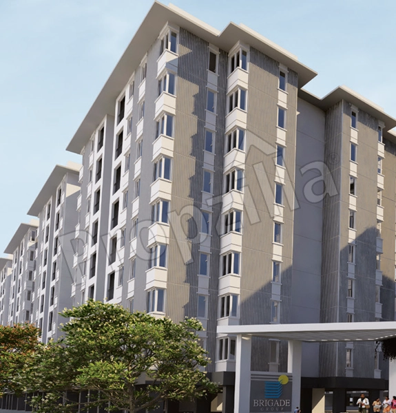 Ebony at Brigade Orchards 3 bhk resale