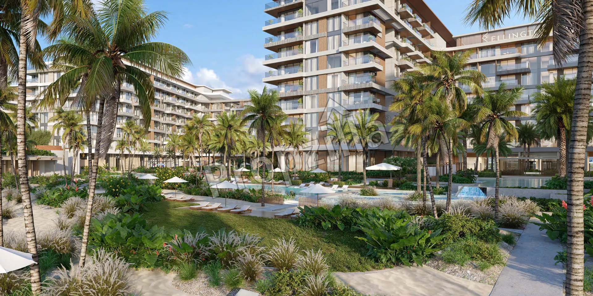 Ellington Cove New Launch
