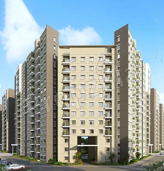 ivory phase 2 at brigade orchards builder