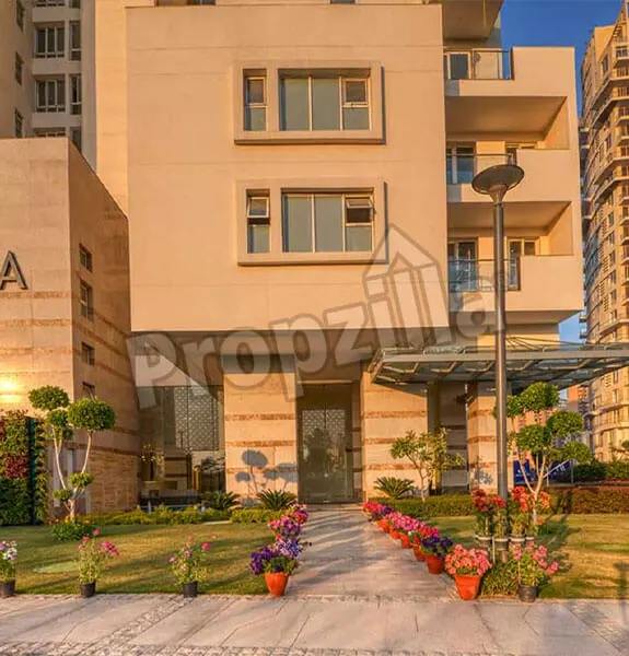 pioneer araya apartments gurgaon
