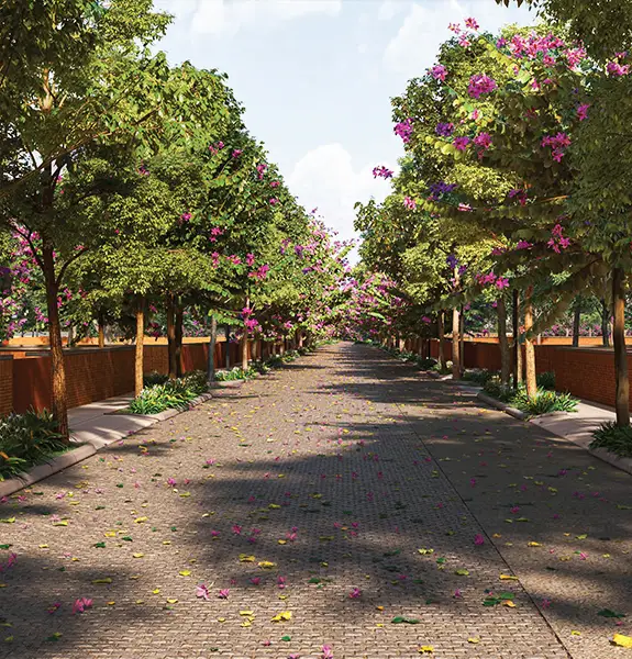 Tangled Up In Green Handover Date