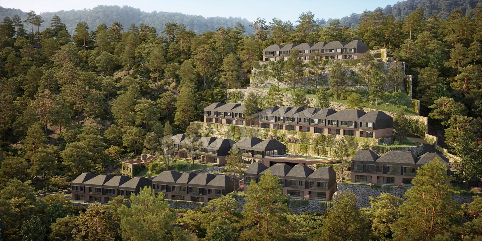 Vianaar Dappled Light Estate Contact Number