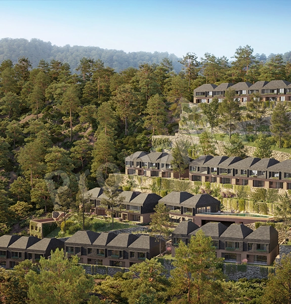 Vianaar Dappled Light Estate Contact Details