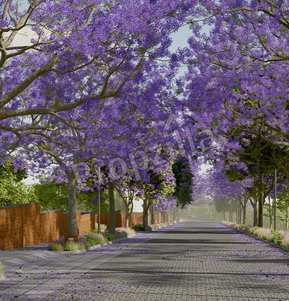 Violet Hill by Total Environment Construction Status
