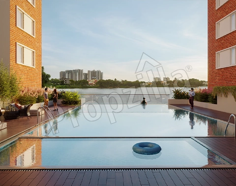 services offered by brigade laguna