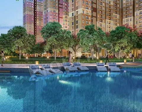 brigade laguna price