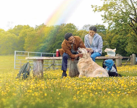 Brigade Oasis Phase 3 total area