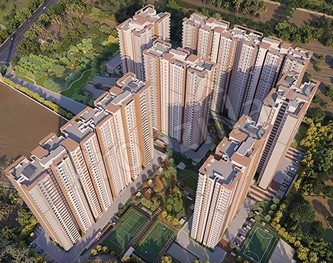 Brigade Sanctuary To buy