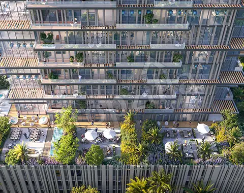 Imtiaz Cove Boulevard Top to Down Look