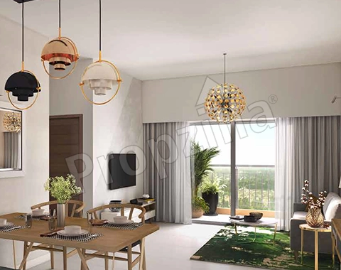 Ebony at Brigade Orchards Picture