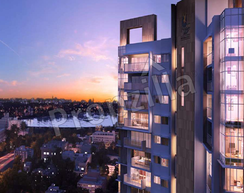 Prestige Fairfield Reviews