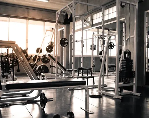 Sattva Songbird Brochure Pdf