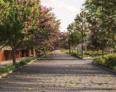 Tangled Up In Green Price