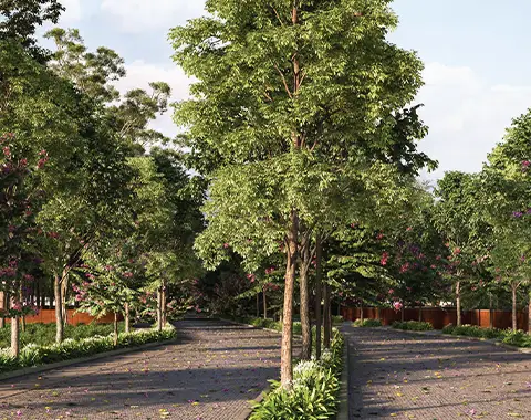 Tangled Up In Green Price List