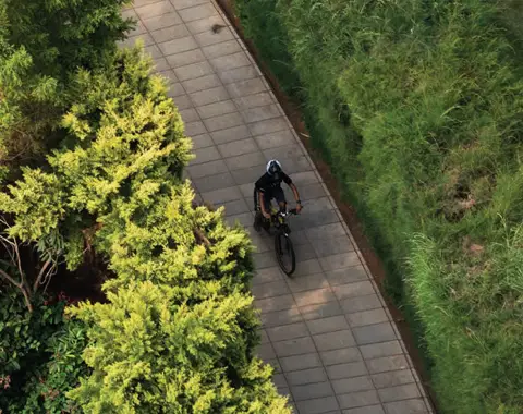 Tangled Up In Green Reviews