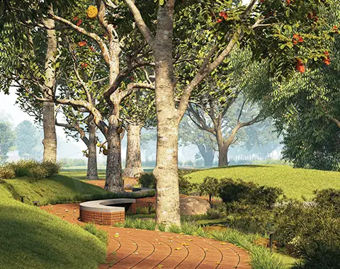 Tangled Up In Green Directory