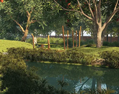 Tangled Up In Green Booking