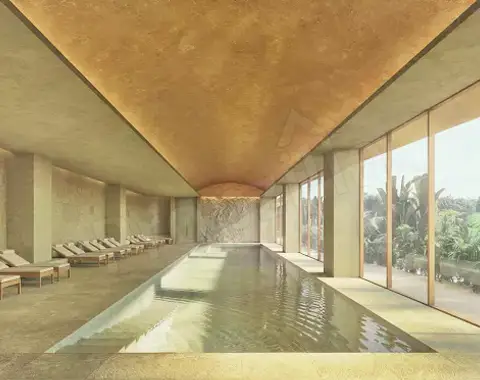 Trehan IRIS Omara Reviews