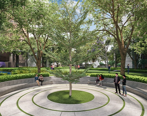 Tulip Crimson Price List