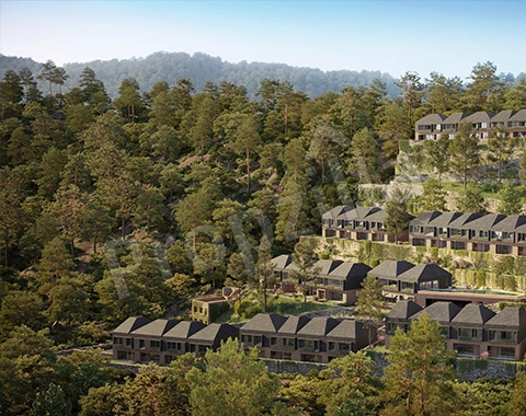 Vianaar Dappled Light Estate Sample Flat