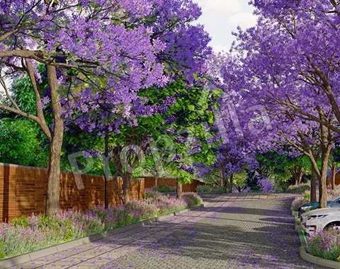 Violet Hill by Total Environment Price List