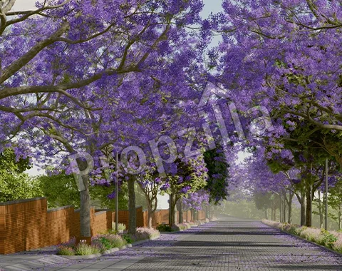 Violet Hill by Total Environment Brochure Pdf